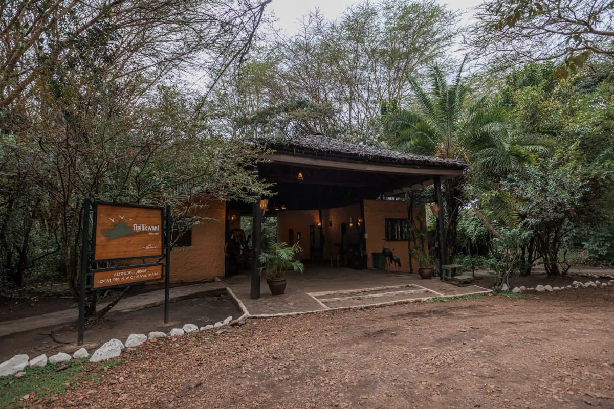 Tipilikwani Mara Camp 2 Night Safari 25