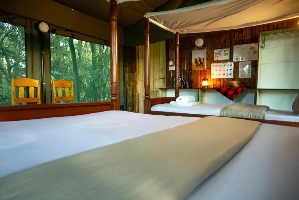 Talek Bush Camp 2 Night Safari 5
