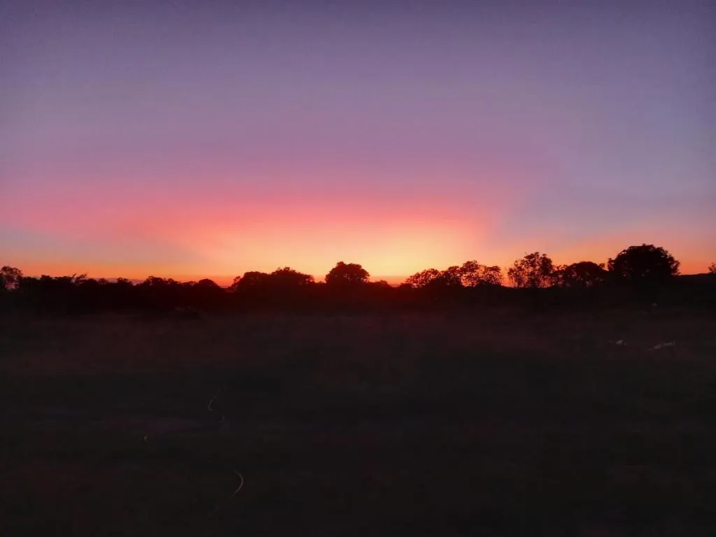 Mara Maisha Camp 2 Night Safari 57