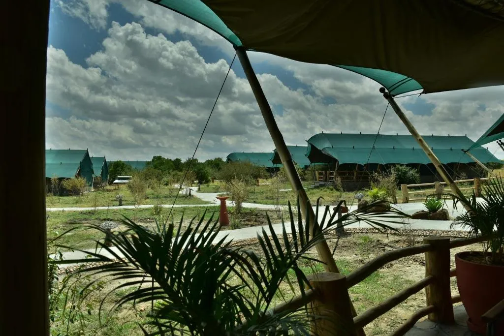 Mara Maisha Camp 2 Night Safari 49