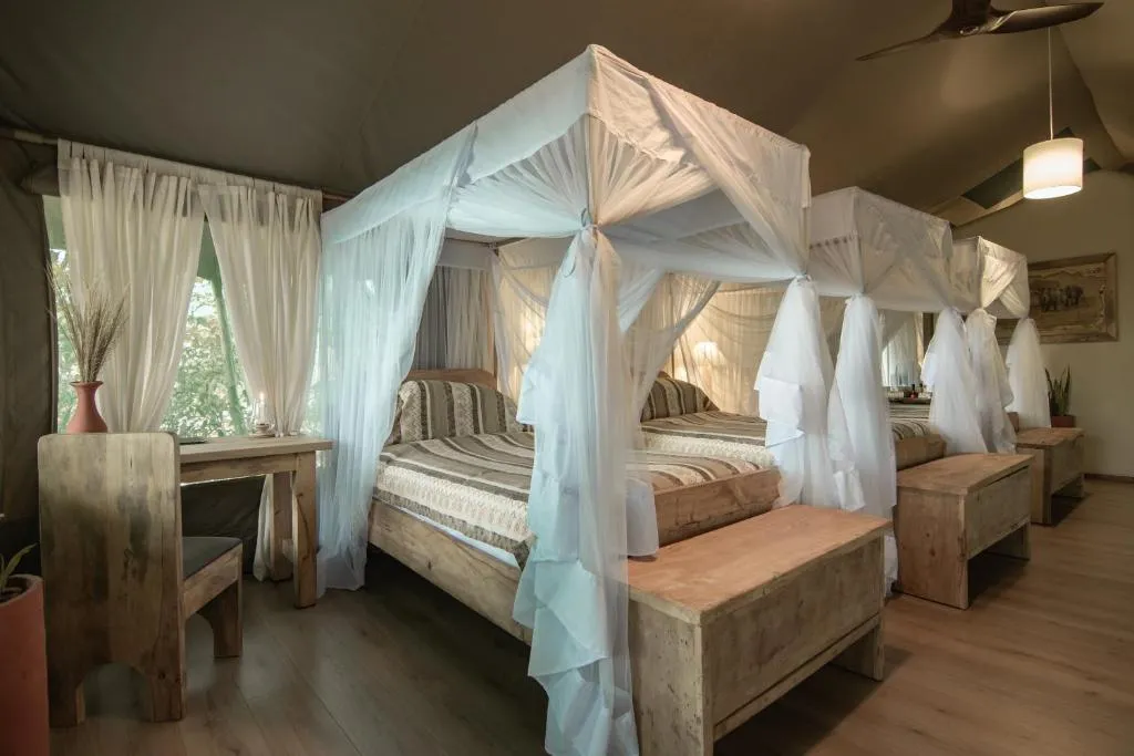 Mara Maisha Camp 2 Night Safari 8