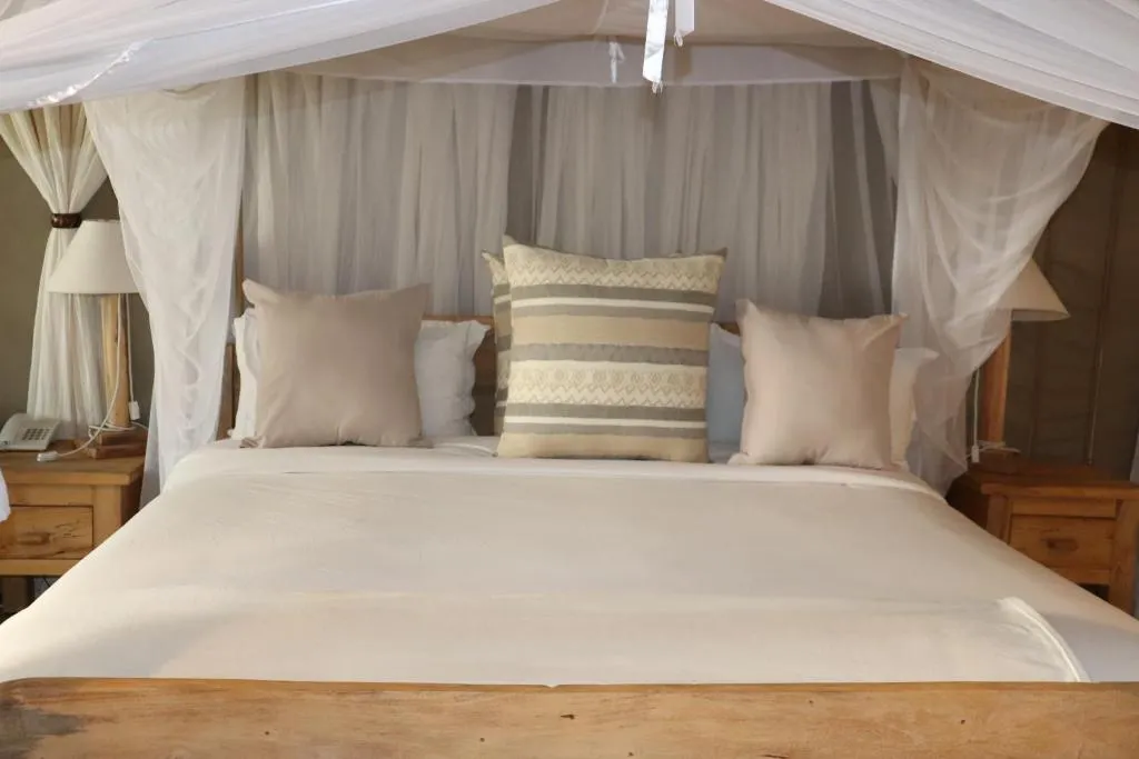 Mara Maisha Camp 2 Night Safari 11