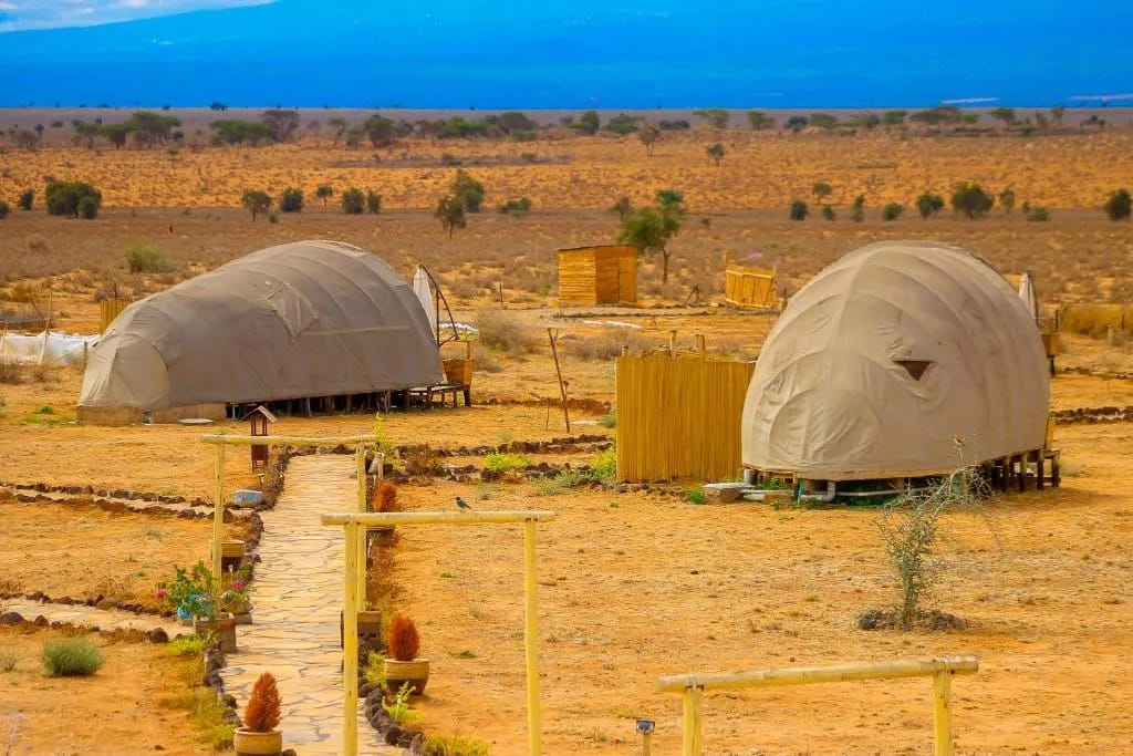 Little Amanya Camp 2 Night Safari 2