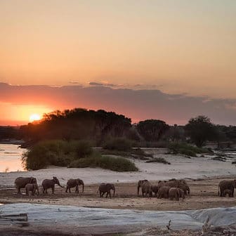 Galdessa Camp 2-Night Safari 18