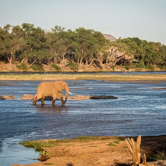 Galdessa Camp 2-Night Safari 23
