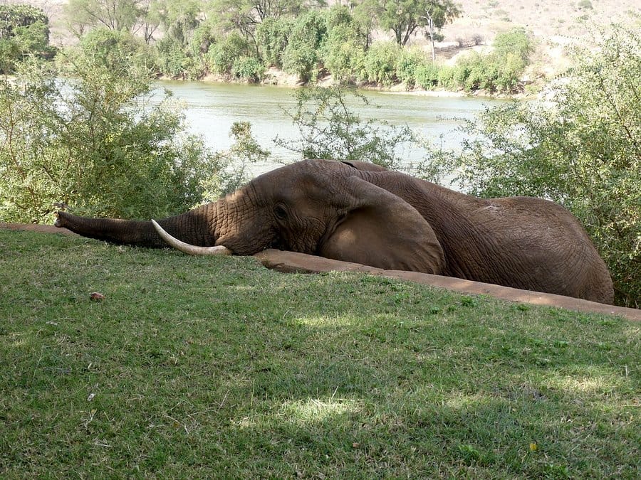 Galdessa Camp 2-Night Safari 14
