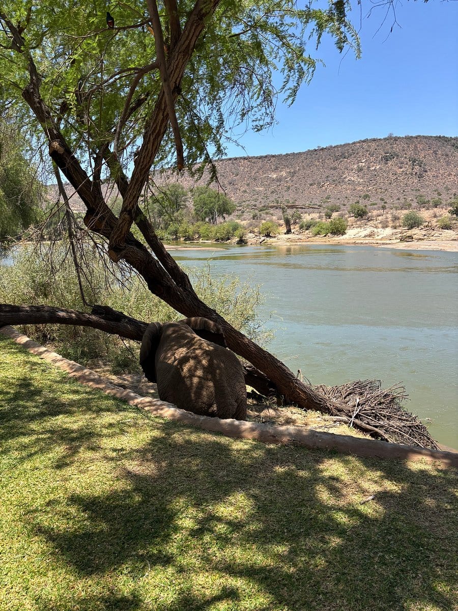 Galdessa Camp 2-Night Safari 29