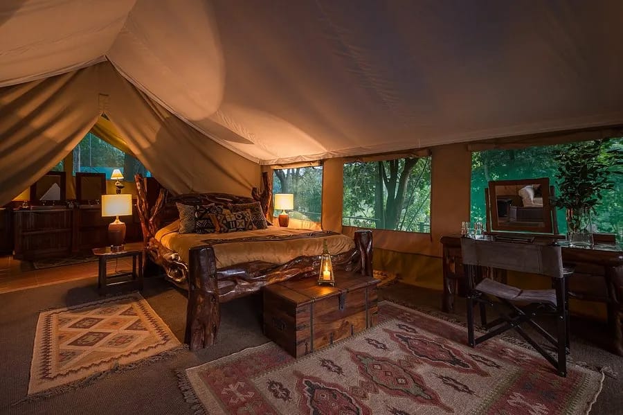 Governors Camp 2 Night Safari 11