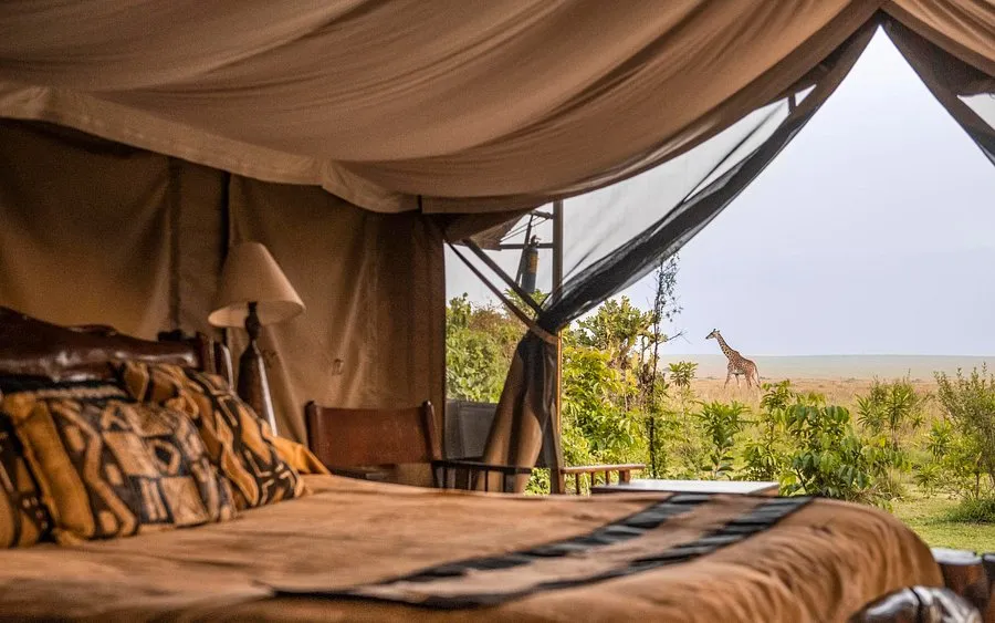 Governors Camp 2 Night Safari 6