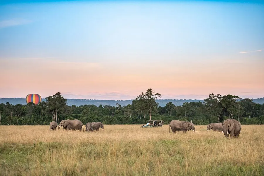 Governors Camp 2 Night Safari 25