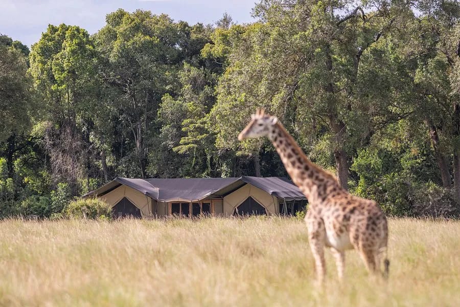 Governors Camp 2 Night Safari 30