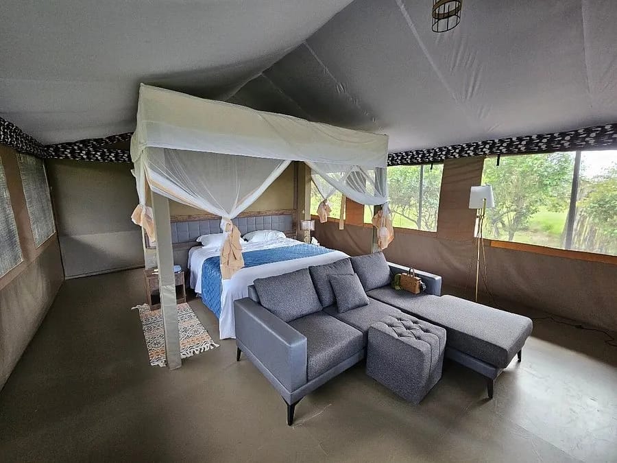 Zebra Valley Camp 2-Night Safari 3