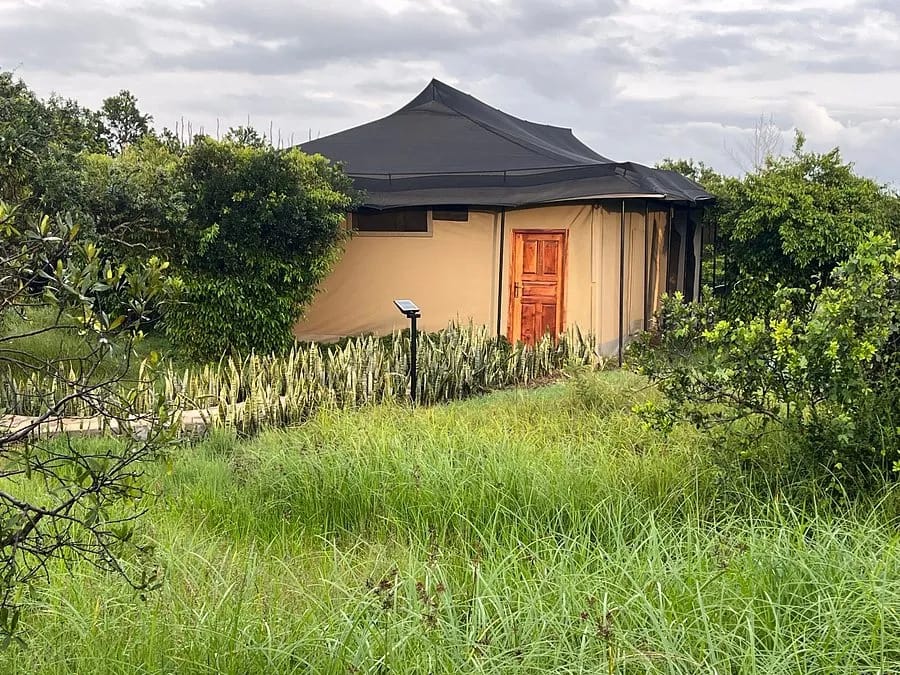 Zebra Valley Camp 2-Night Safari 14
