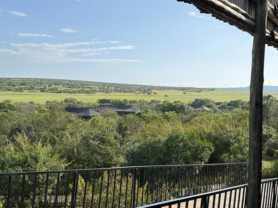 Zebra Valley Camp 2-Night Safari 17