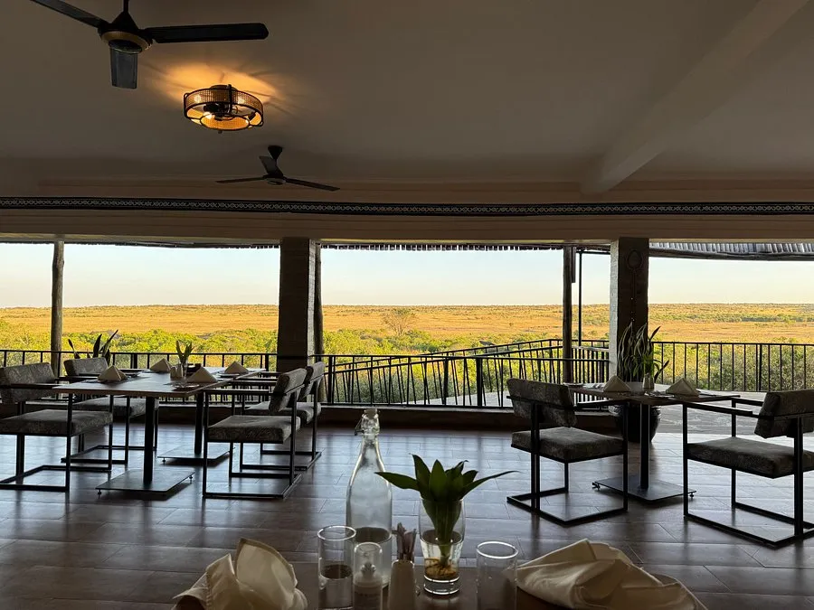 Zebra Valley Camp 2-Night Safari 8