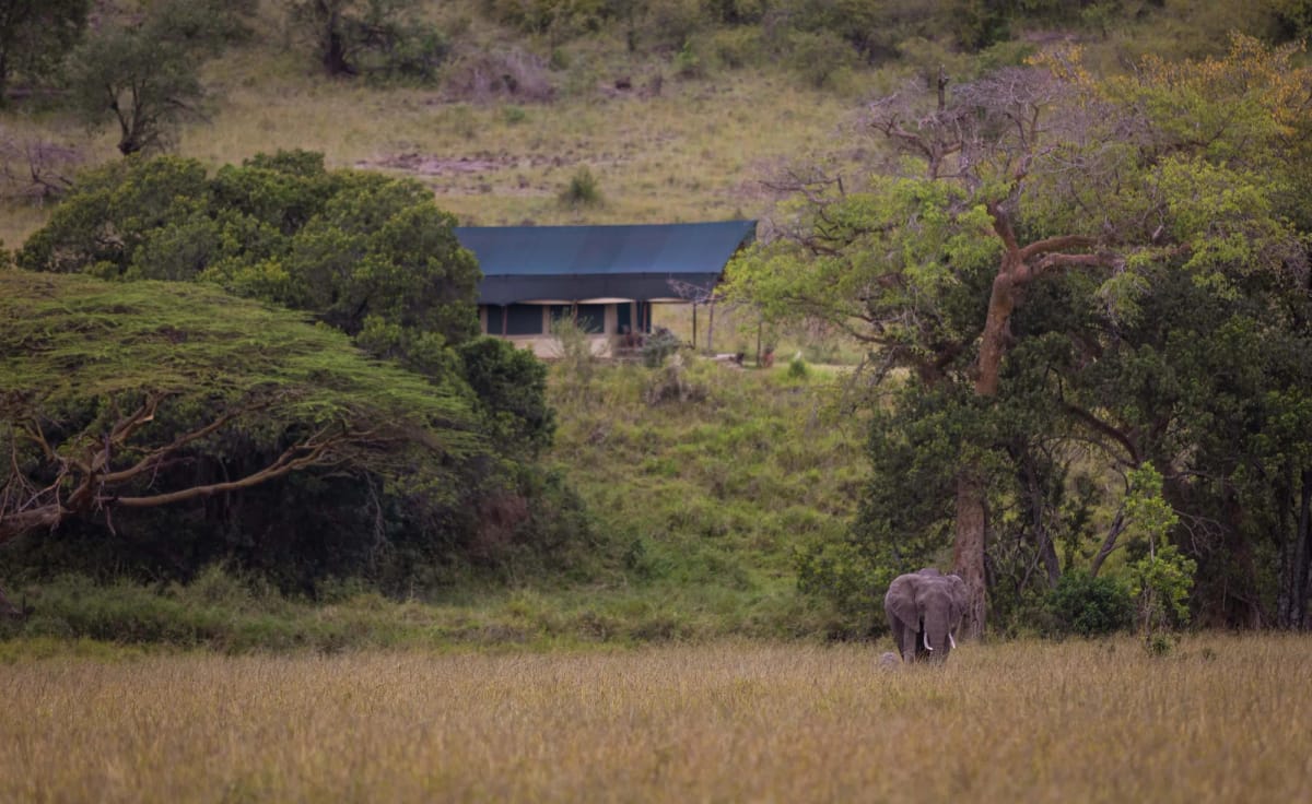 Kicheche Mara North 2 Night Safari 25