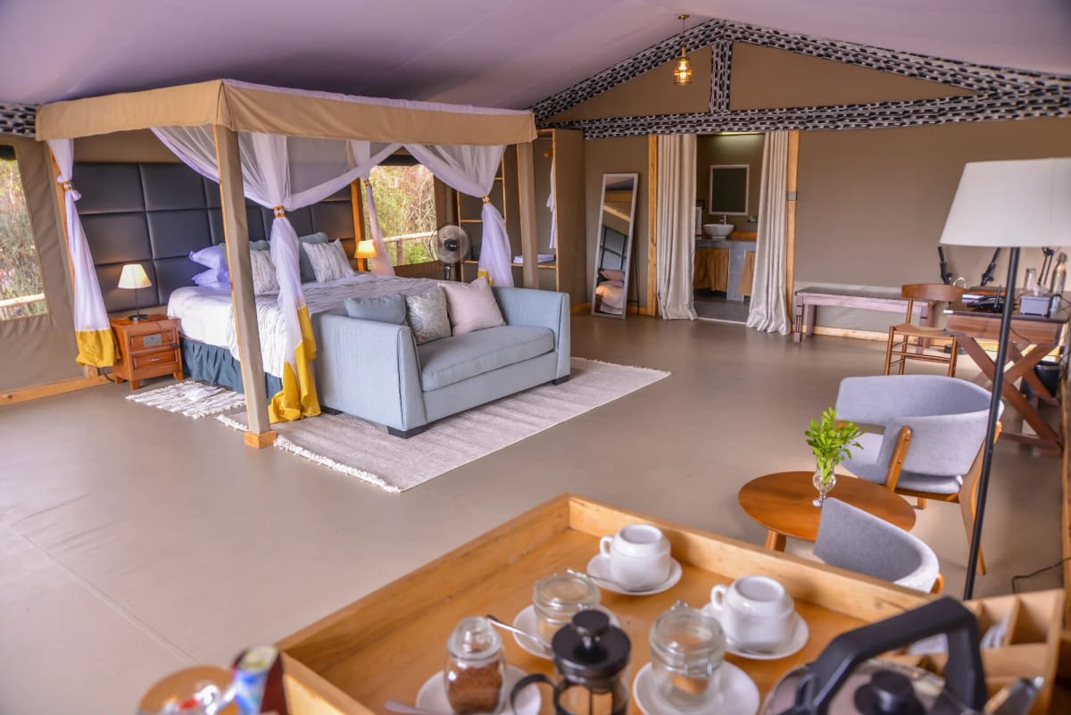 Little Zebra River Camp 2-Night Safari 2
