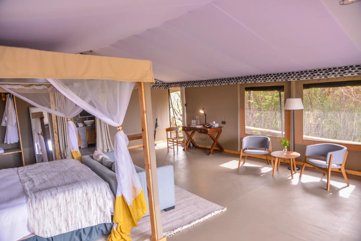 Little Zebra River Camp 2-Night Safari 5