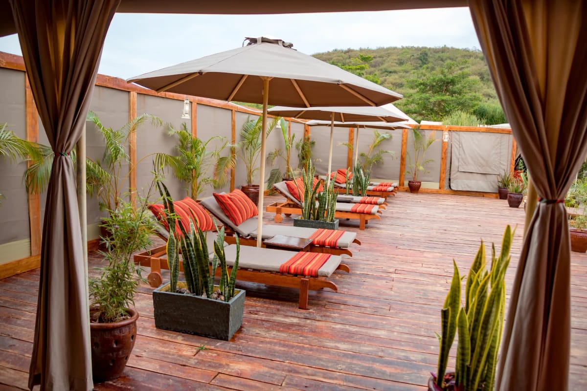 Zebra Plains Mara 2-Night Safari 2