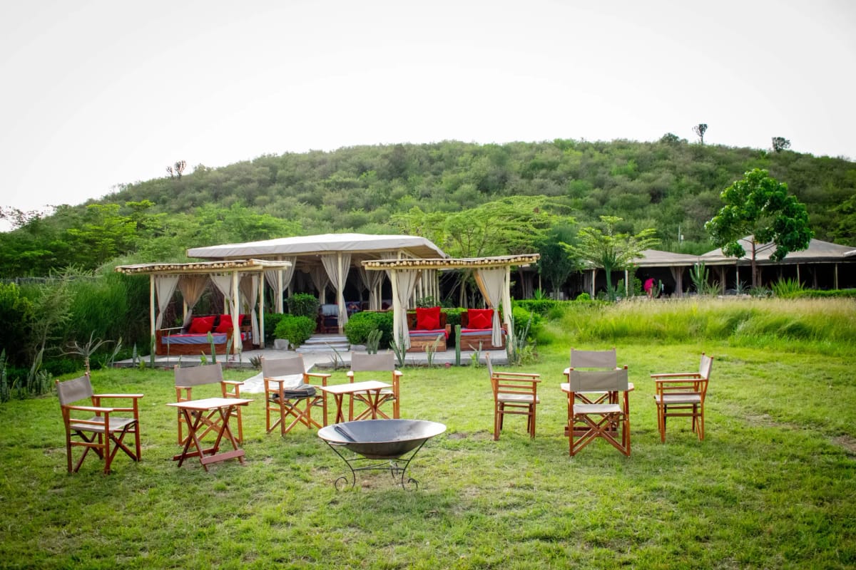 Zebra Plains Mara 2-Night Safari 3