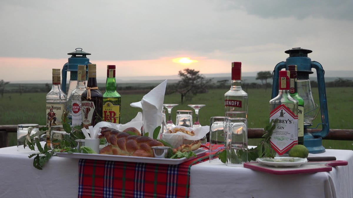 Zebra Plains Mara 2-Night Safari 5
