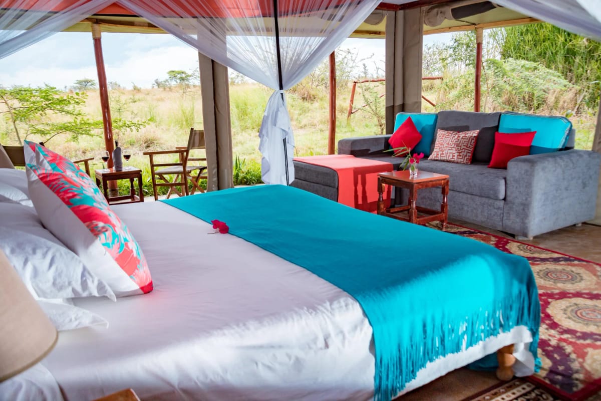 Zebra Plains Mara 2-Night Safari 8