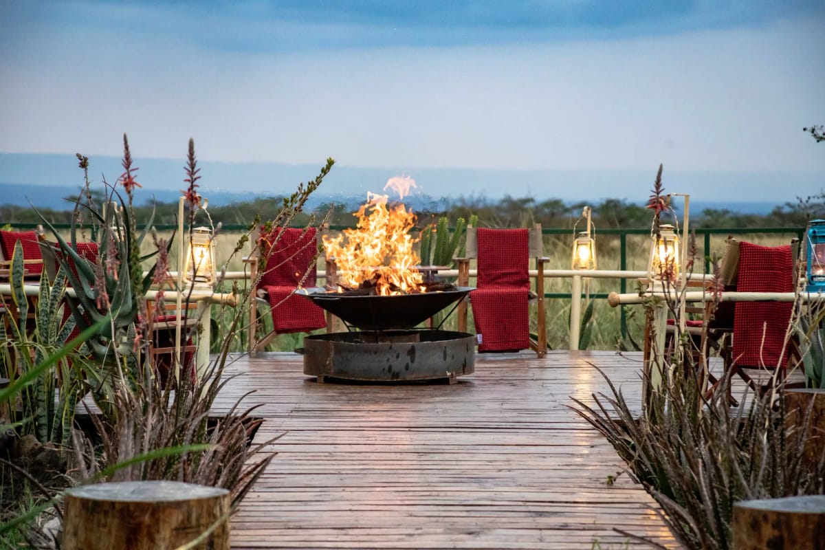 Zebra Plains Mara 2-Night Safari 22