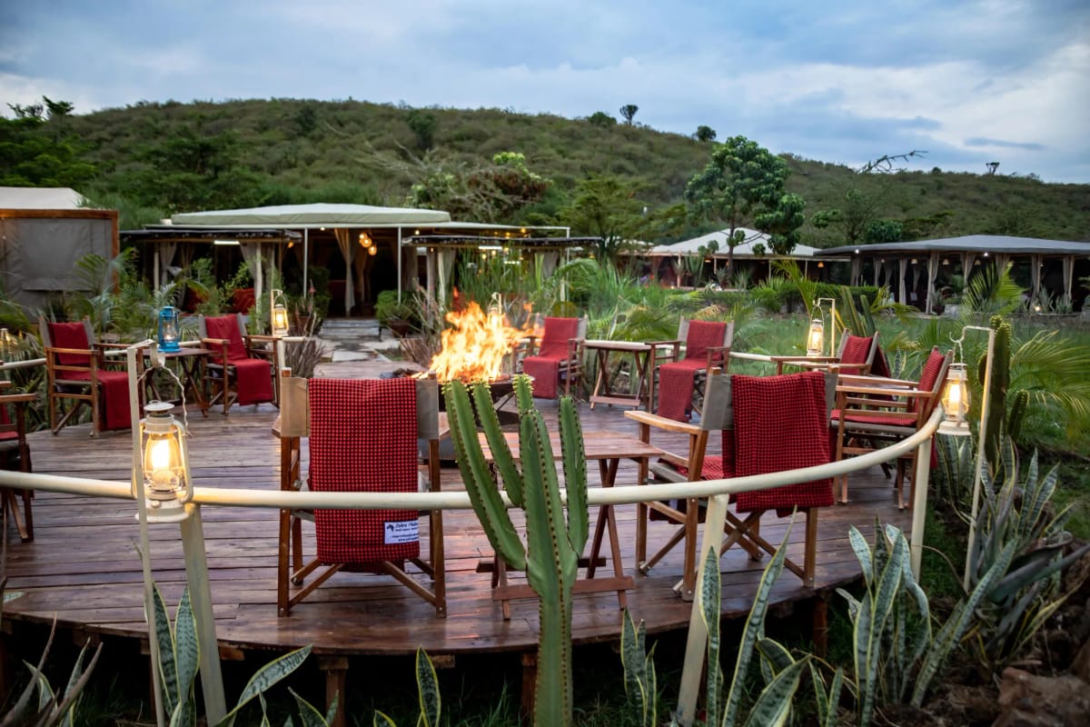 Zebra Plains Mara 2-Night Safari 26