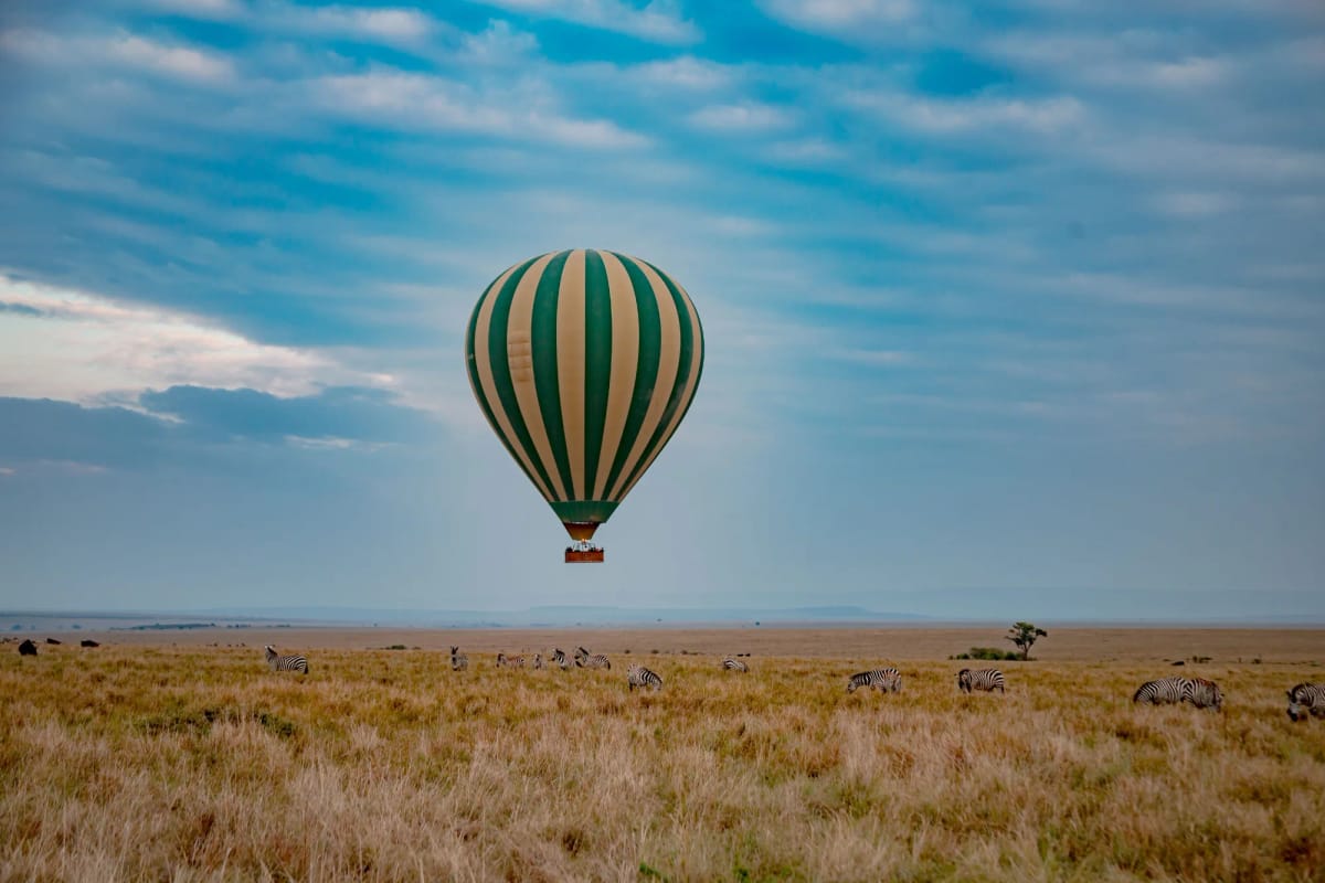 Zebra Plains Mara 2-Night Safari 30