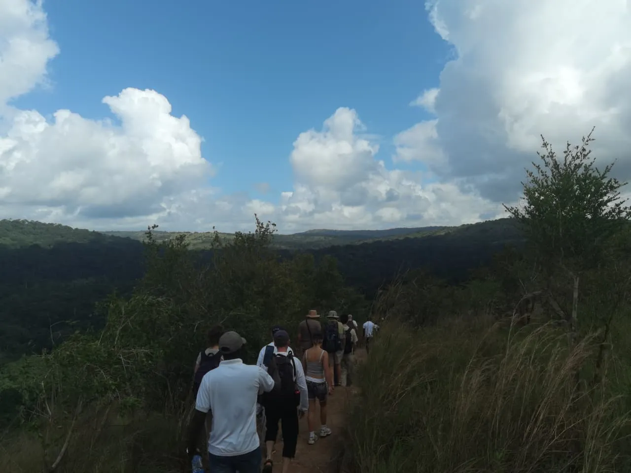 1 Day Shimba Hills/Sheldrick Falls Tour 3