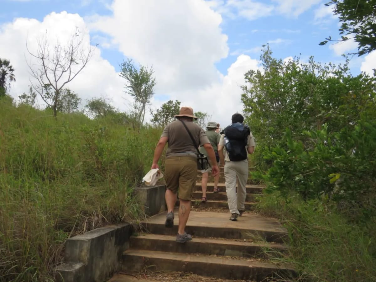 1 Day Shimba Hills/Sheldrick Falls Tour 6