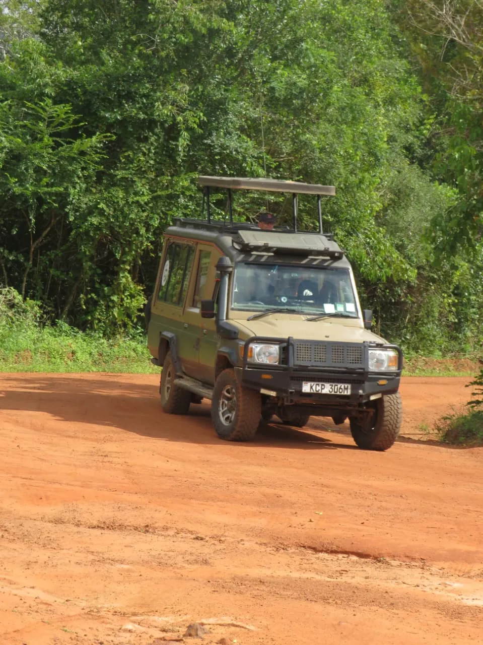 1 Day Shimba Hills/Sheldrick Falls Tour 7