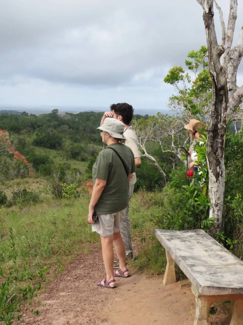 1 Day Shimba Hills/Sheldrick Falls Tour 9