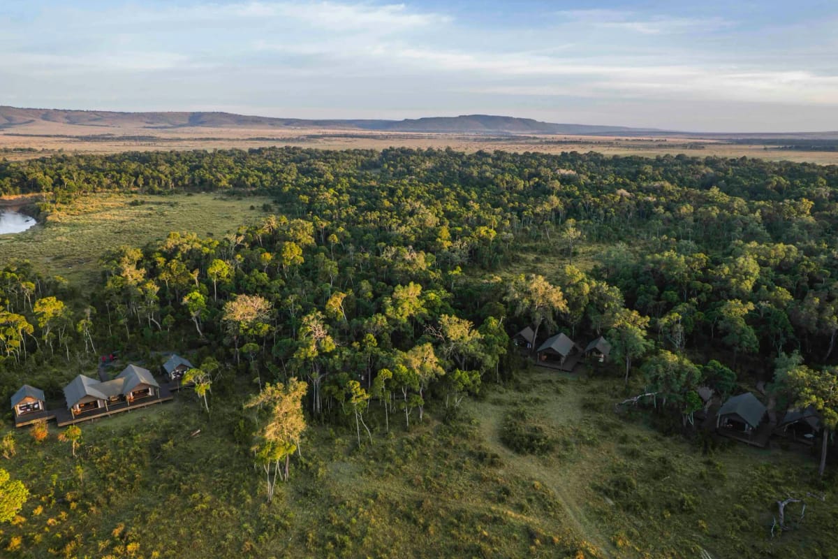 Paradise Plains 2 Night Safari 5