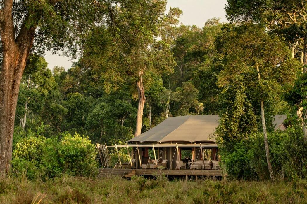 Paradise Plains 2 Night Safari 3