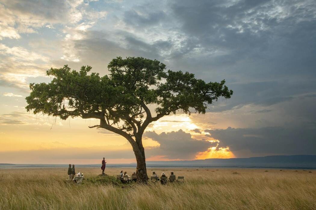 Paradise Plains 2 Night Safari 7